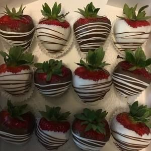 Meet your Posher, Tara